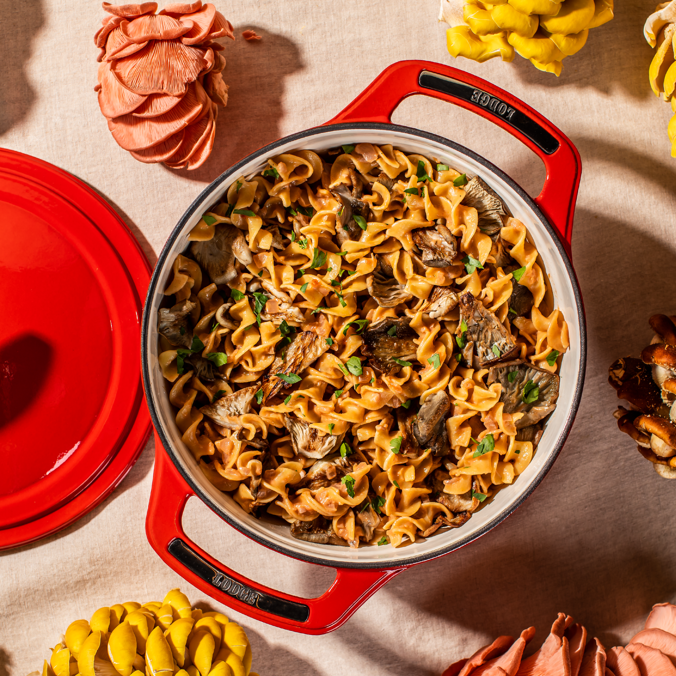 Lodge Heritage USA Enamel™ Cast Iron Dutch Oven - Image 81